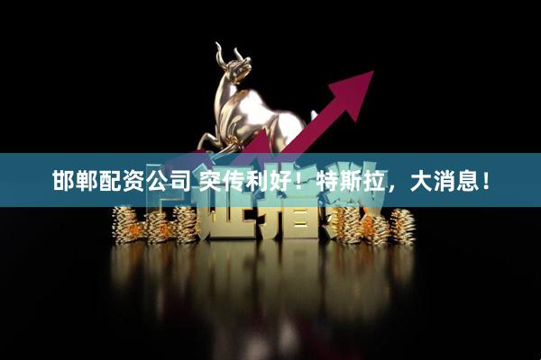 邯郸配资公司 突传利好！特斯拉，大消息！