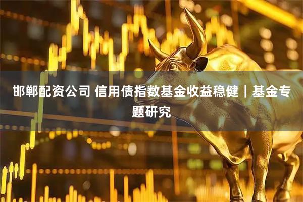 邯郸配资公司 信用债指数基金收益稳健｜基金专题研究