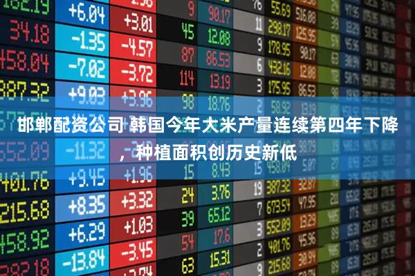 邯郸配资公司 韩国今年大米产量连续第四年下降，种植面积创历史新低