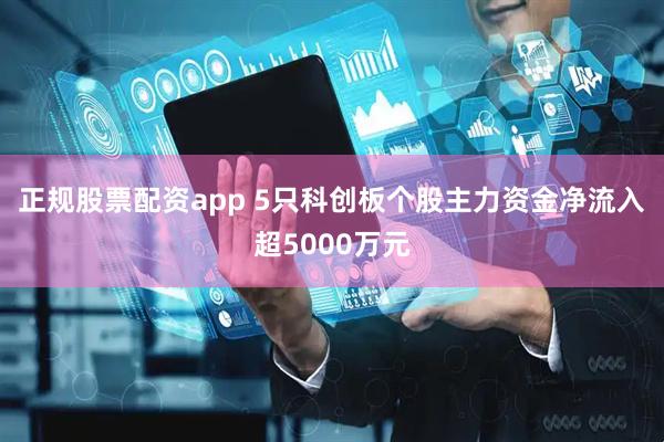 正规股票配资app 5只科创板个股主力资金净流入超5000万元